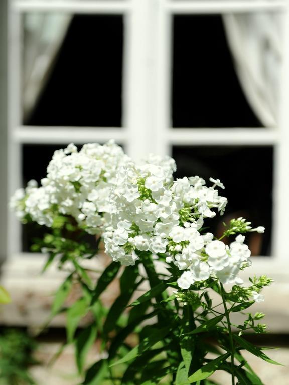 Le Jardin Cathedrale Bed & Breakfast Chartres Exterior photo